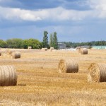 LED rural landscape