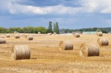 LED rural landscape